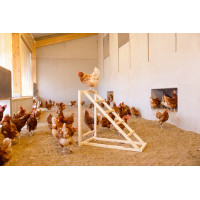Torre de escalada para gallinas Kerbl Hobbyfarming Madera Beige Torre de escalada para gallinas Kerbl Hobbyfarming Madera Beige