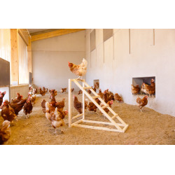 Torre de escalada para gallinas Kerbl Hobbyfarming Madera Beige