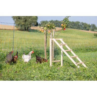 Torre de escalada para gallinas Kerbl Hobbyfarming Madera Beige