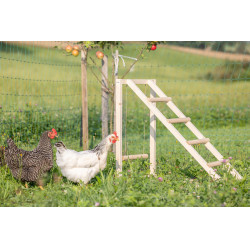 Torre de escalada para gallinas Kerbl Hobbyfarming Madera Beige