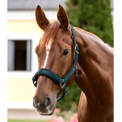 Cabezada Waldhausen Soft Touch Azul petróleo