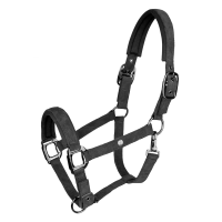 Cabezada Waldhausen St. Gallen Negro