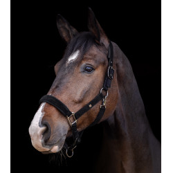 Cabezada Waldhausen St. Gallen Negro