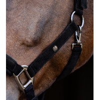 Cabezada Waldhausen St. Gallen Negro