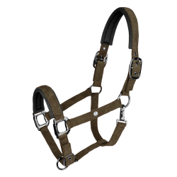 Cabezada Waldhausen St. Gallen Marrón verde Marr&amp;oacute;n