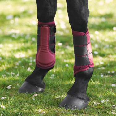 Gueteras Imperial Riding Cloud Dancer Higo Violeta