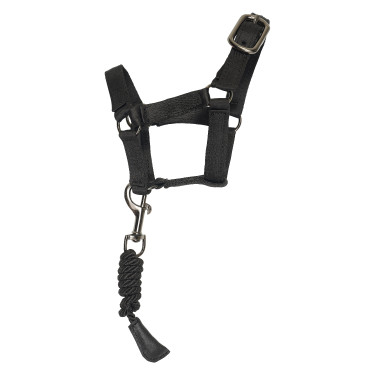 Juguetes lote de establo Imperial Riding Pequeño Brillo negro Juguetes lote de establo Imperial Riding Pequeño Brillo negro