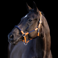 Cabezada HV Polo Franka Marino / rosa Azul