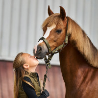 Cabezada Imperial Riding Rebel Verde oliva