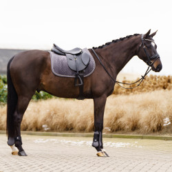 Manta de montar Imperial Riding Shadow GP