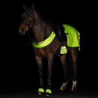 Calientapies para estribos Imperial Riding Reflective por 2 Estampado floral Motifs
