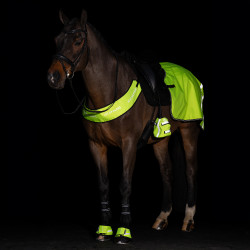 Calientapies para estribos Imperial Riding Reflective por 2 Amarillo