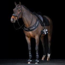 Calientapies para estribos Imperial Riding Reflective por 2 Negro