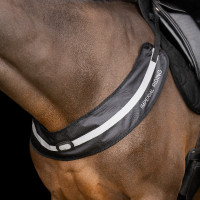 Pechopetral Imperial Riding Luminous Negro