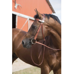 Cabezada Randol's Two Tone