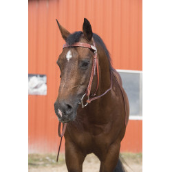 Cabezada Randol's Two Tone