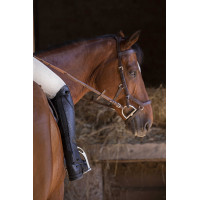 Polainas Equi-Theme Premium Negro