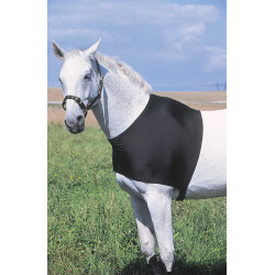 Protección de espaldas Equi-Theme