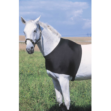 Protección de espaldas Equi-Theme