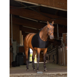 Protección de espaldas Equi-Theme