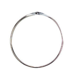 Anilla de presentación