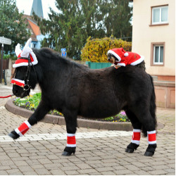 Orejeras de Navidad con forma de madera de reno
