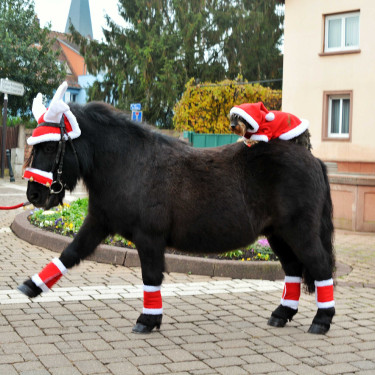 Orejeras de Navidad con forma de madera de reno Orejeras de Navidad con forma de madera de reno