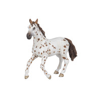 Yegua Appaloosa PAPO Yegua Appaloosa PAPO
