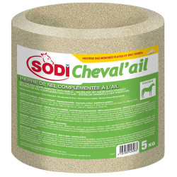 Piedra de sal Sodi Ajo