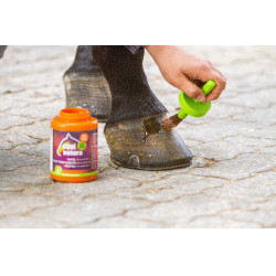 Aceite para cascos Equinatura con pincel 450 ml
