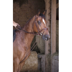 Riendas alemanas de cuero / cuerda Norton Pro Havana Marrón