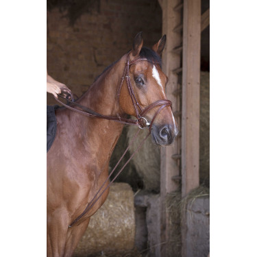 Riendas alemanas de cuero / cuerda Norton Pro Havana Marrón