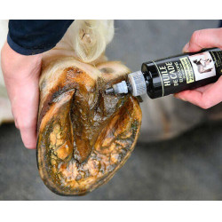 Elfo-Cuidados du Maréchal