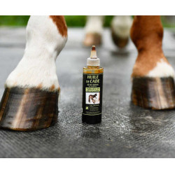 Elfo-Cuidados du Maréchal