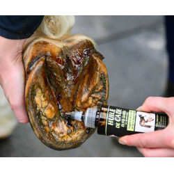 Elfo-Cuidados du Maréchal