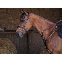 Pechopetral Eric Thomas Hybrid Negro