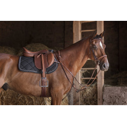 Cincha combinada Eric Thomas Hybrid Havana Marrón