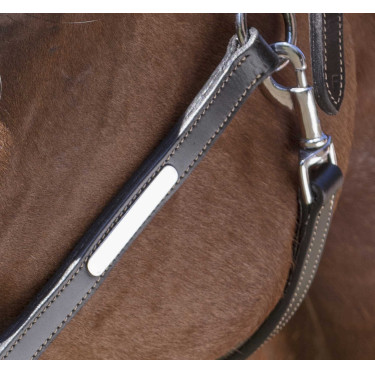 Cabezada de cuero Norton Pro Grooming Negro