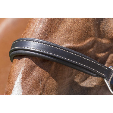 Cabezada de cuero Norton Pro Grooming Negro