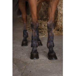 Protectores de tendón Norton XTR Castaño Marrón