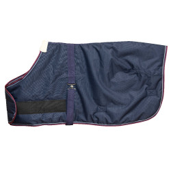 Manta Equi-Theme Tyrex 1200 D para potro Azúl marino / burdeos