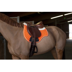 Mantilla/salvacruz Norton Naranja