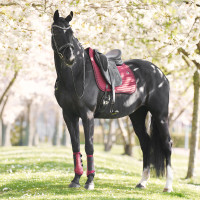 Manta de silla Imperial Riding Josie Dressage Higo Violeta