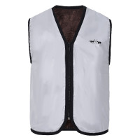 Chaleco de equitación sin mangas reflectante HV Polo Hi-Viz Plata / reflectante