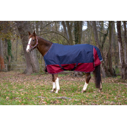 Manta Equi-Theme Tyrex 1200 D Azúl marino / burdeos