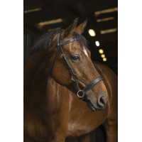 Side-pull Norton Pro Confort Negro Side-pull Norton Pro Confort Negro