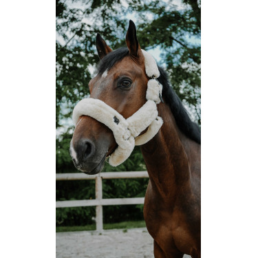 Licol Je t'aime EQUITHÈME - Snuggy Crudo Blanco