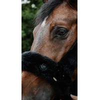 Licol Je t'aime EQUITHÈME - Snuggy Gris