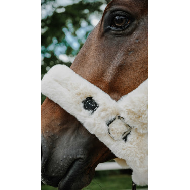 Licol Je t'aime EQUITHÈME - Snuggy Crudo Blanco