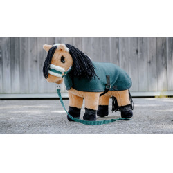 Mini-cabezada + ramal Pony Academy Verde oscuro Mini-cabezada + ramal Pony Academy Verde oscuro